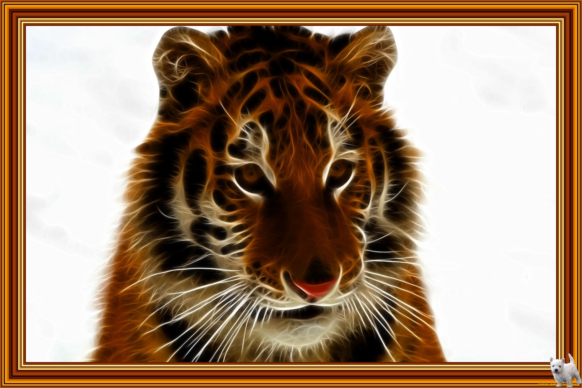 3, , animals, , 